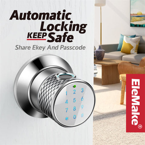 Elemake Silver Smart Door Knob with Keypad, Keyless for Home, Apartment, Hotel, Office